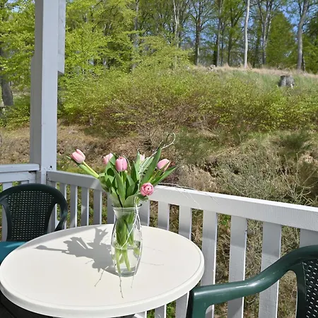 Strandnahe 8 Celia * Sellin (Rugen)